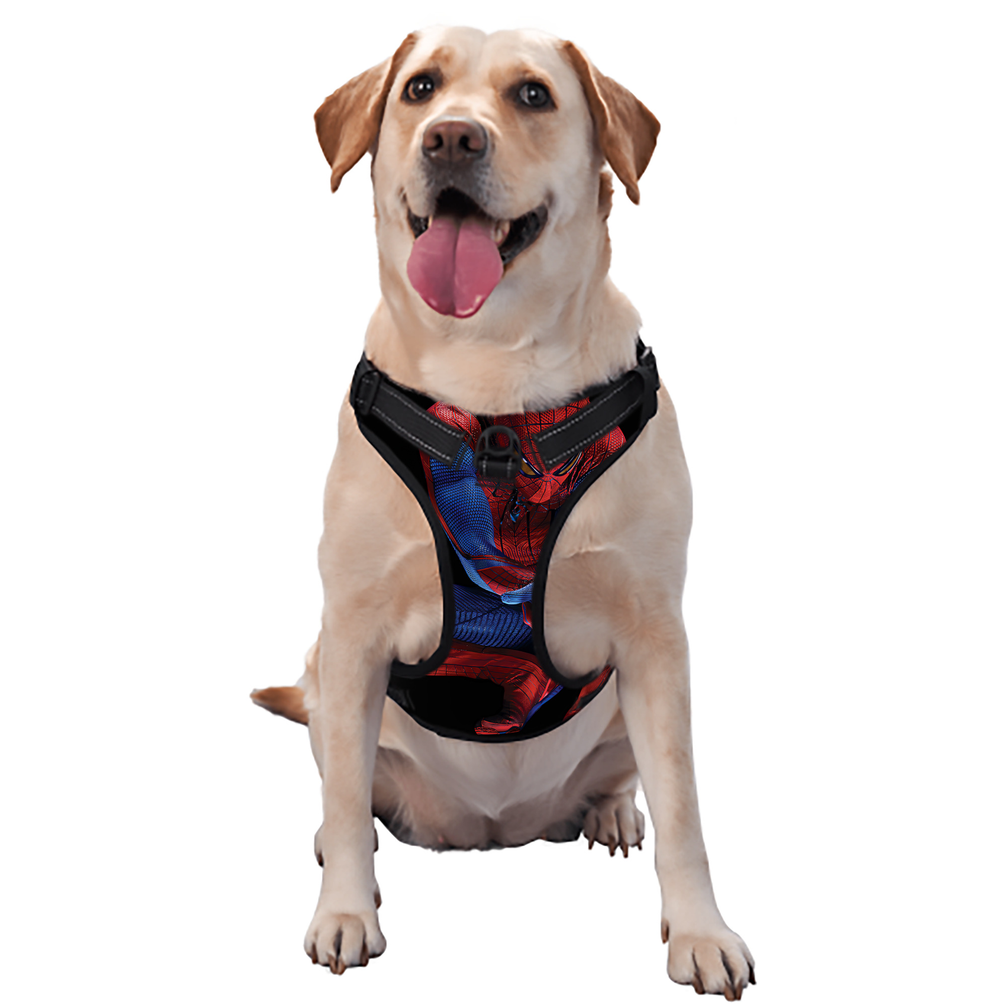 （画像用） Spider Man スパイダーマン ペット用ハーネス